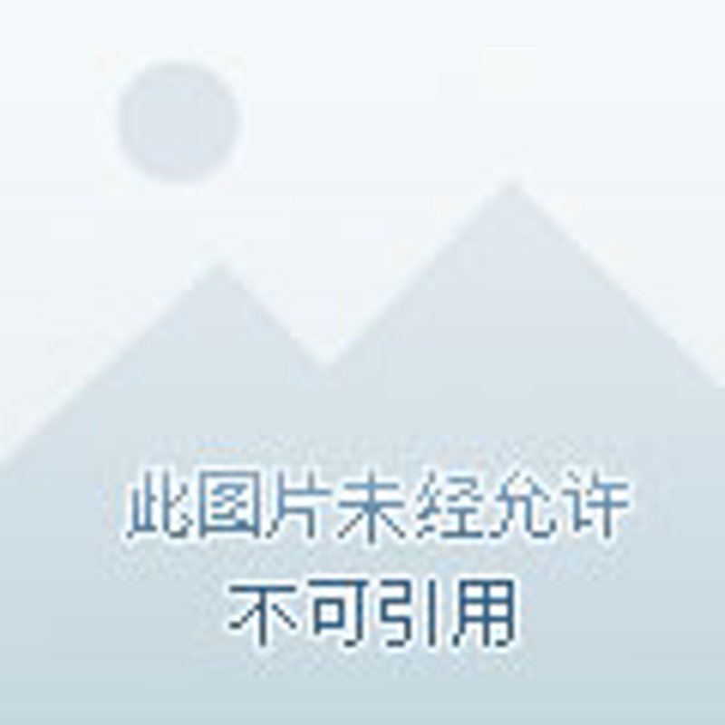 湛江支付公司的崛起之路