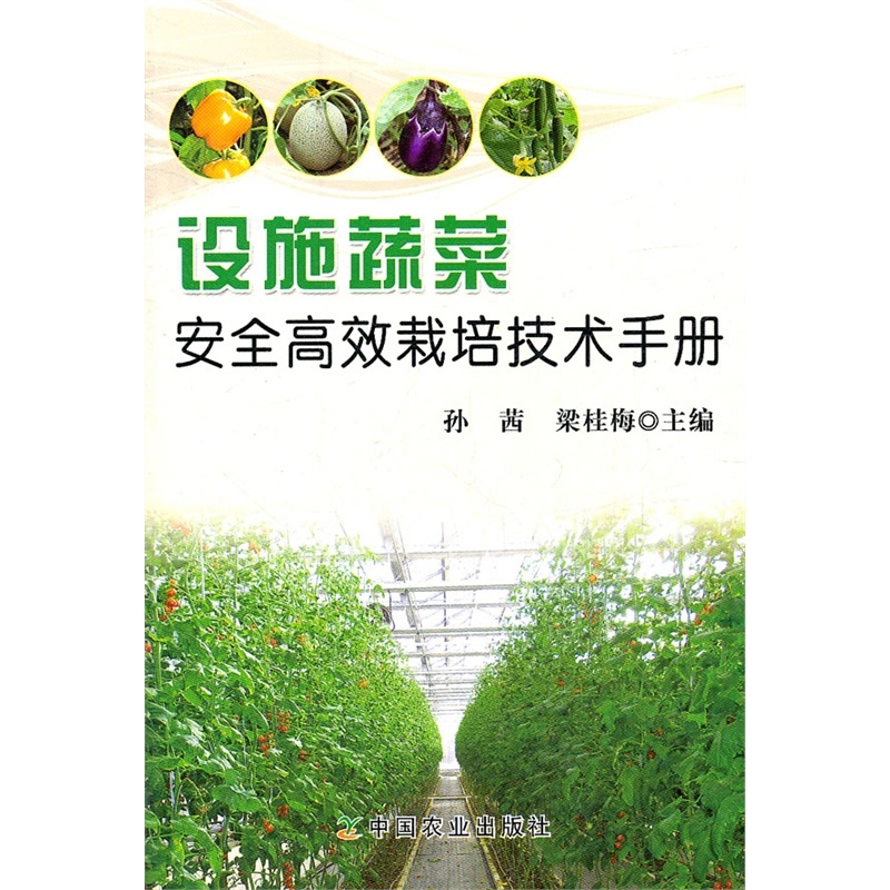 如何选择湛江支付公司？”，一份全面的选购指南
